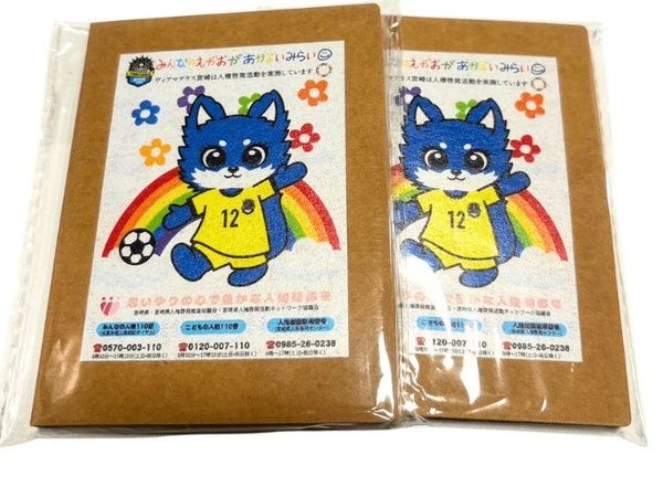 なでしこリーグ「ヴィアマテラス宮崎」がいちご宮崎新富サッカー場で集客注力試合開催！楽しい企画が盛りだくさん