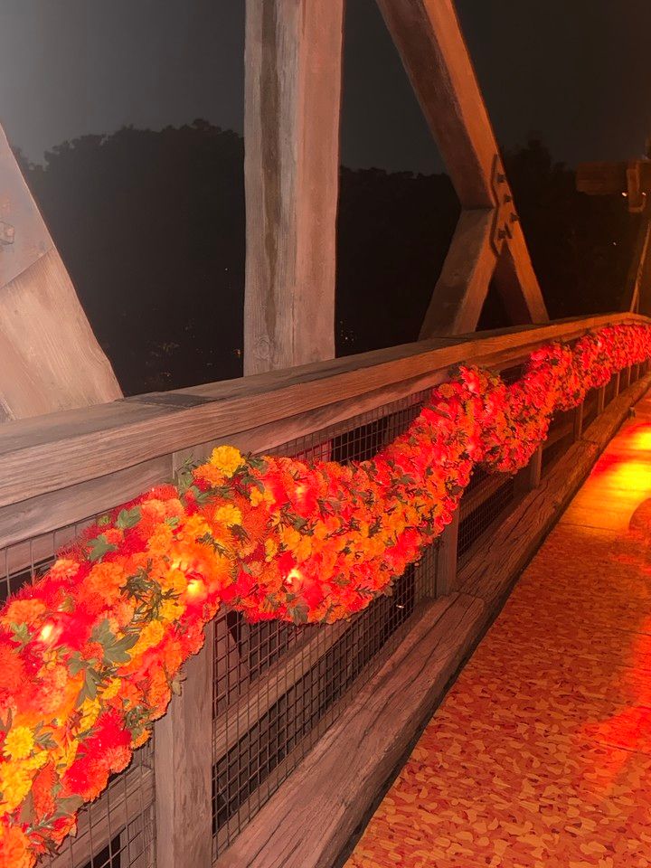 【ディズニー】今年のDハロ、要チェックアイテムをご紹介🍿🎃🧡_1
