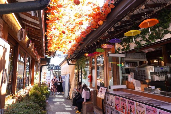 大通りから少し入るだけで、街の表情ががらりと変わるのもおもしろいところ。細い路地を曲がってみたり、気になる看板を見つけて立ち止まったり。