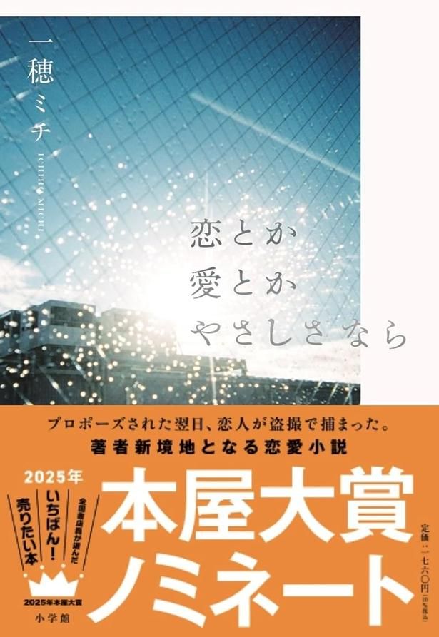 恋とか愛とかやさしさなら 一穂ミチ/小学館
