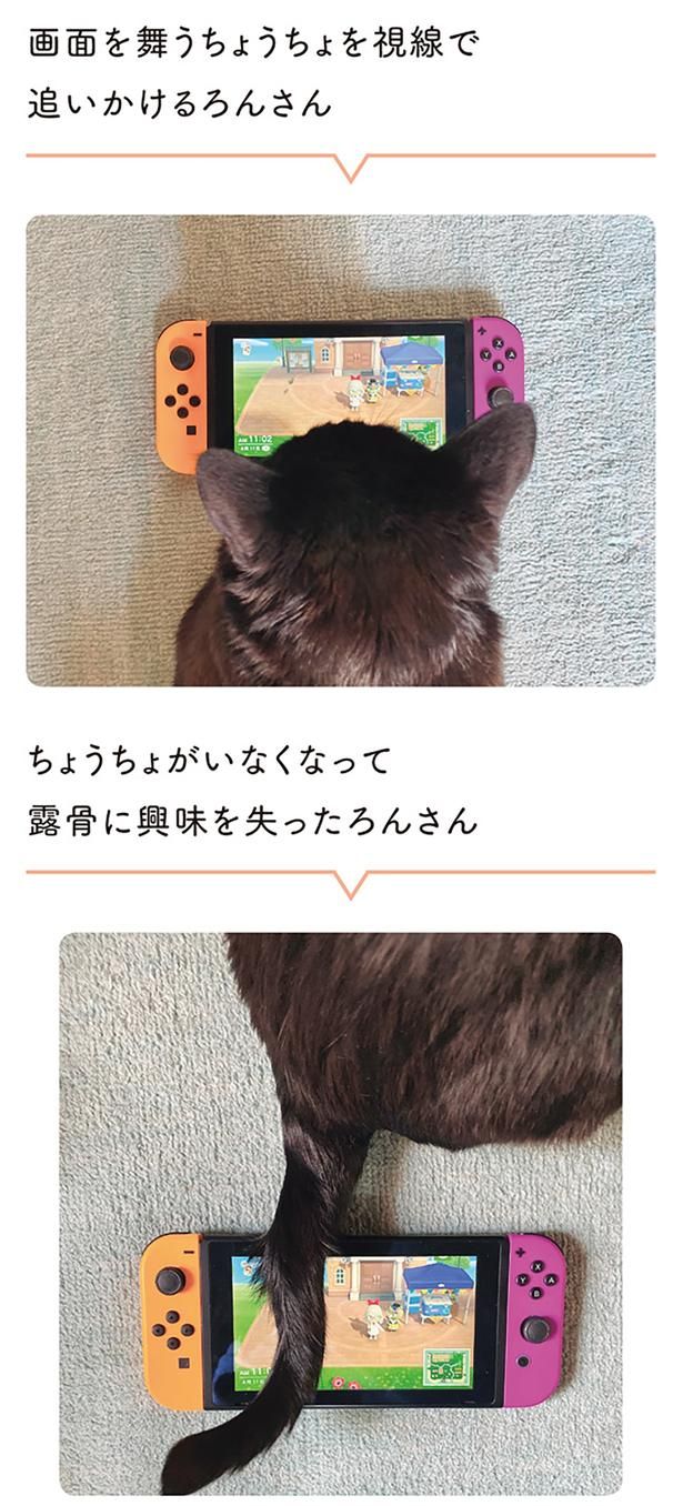 露骨に興味を失ったろんさん （C）AKR／KADOKAWA