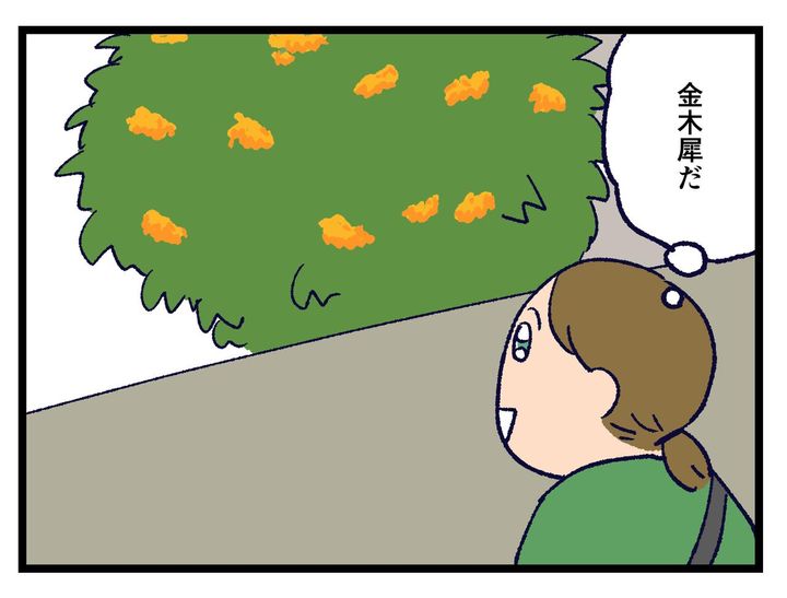 画像2: 金木犀