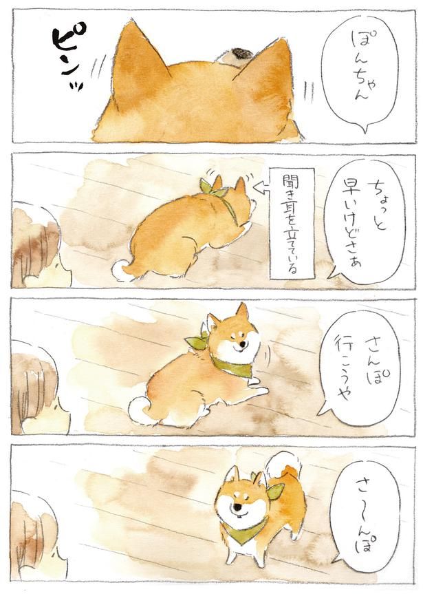 さんぽ行こうや (C)犬山スケッチ／KADOKAWA