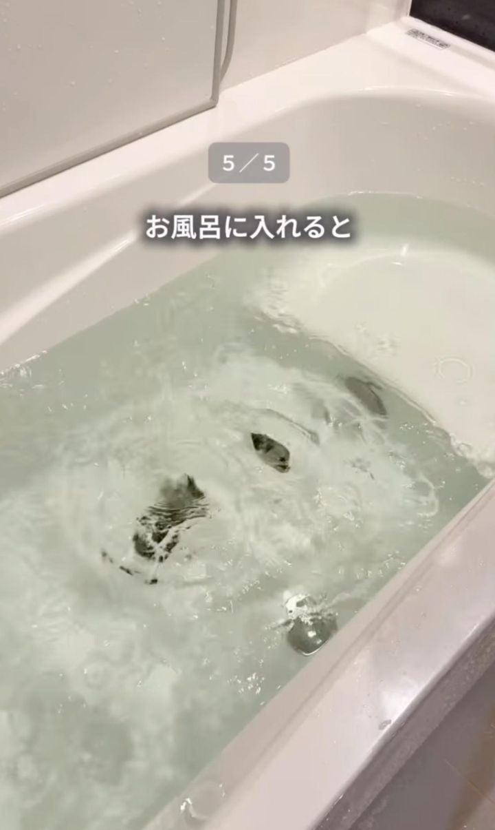 画像4: 出典：Instagram