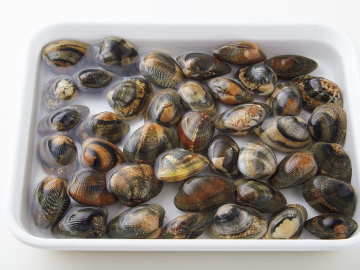 塩水を注ぐ