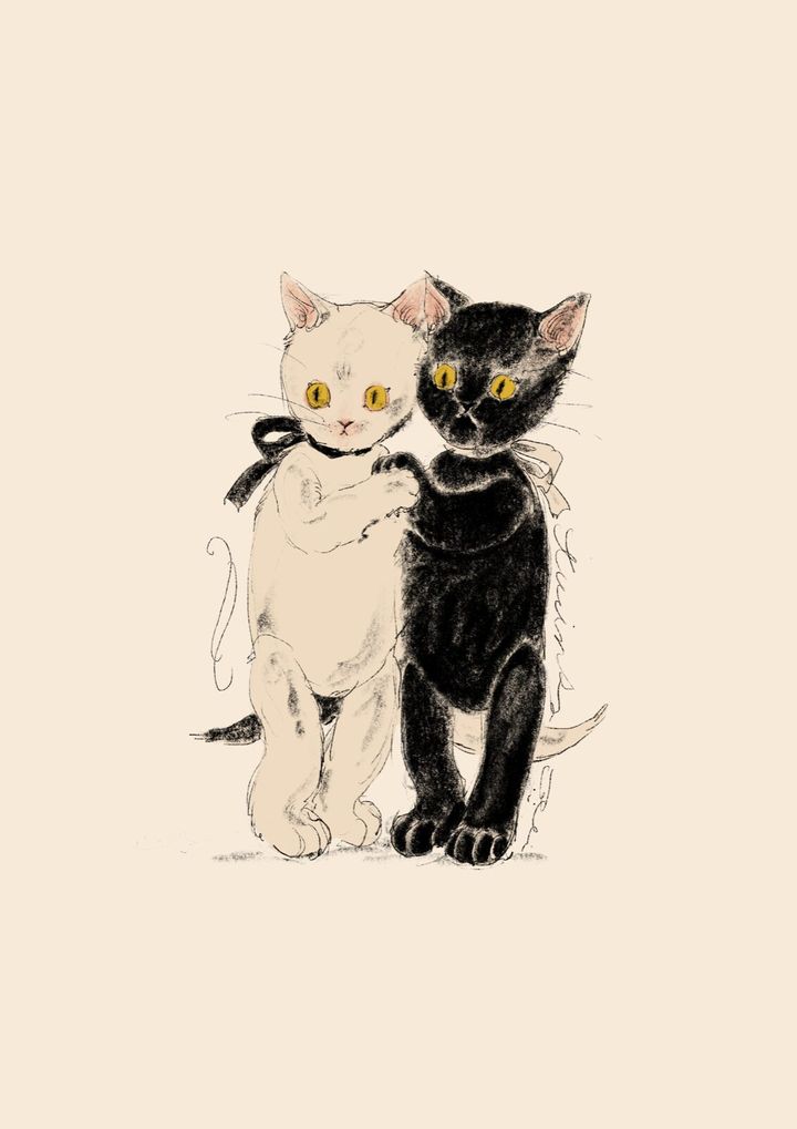 くらはしれいが描いた白猫と黒猫のイラスト