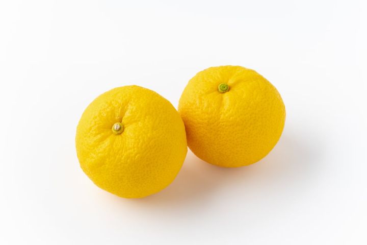 ユズを長持ちさせる保存方法とは？