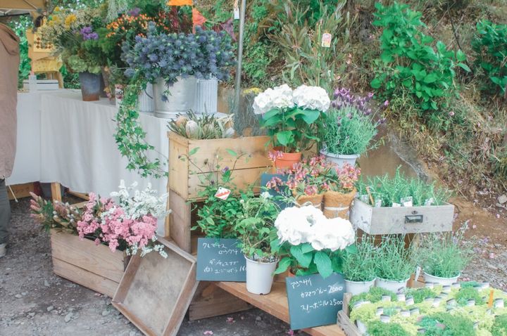 陶器市のお花屋さん