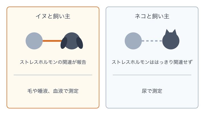 飼い主と動物のストレスホルモンのつながりを、イヌとネコで比べた図です。イヌではつながりが報告されていますが、今回のネコでははっきりせず、測り方(下の段)も違います。