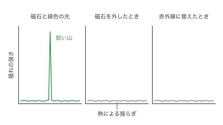 揺れの強さをリズムごとに分けて見た結果を、3つの条件で比べた図です。磁石と緑色の光がそろった左だけに鋭い山が立ち、磁石を外したときや赤外線に替えたときは消えます。実際の山の高さは熱による揺らぎの約1万倍で、縮尺は正確ではありません。
