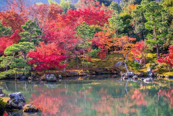 浜離宮恩寵庭園（東京都）