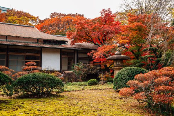 紅葉