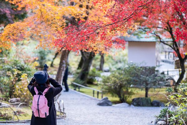 紅葉