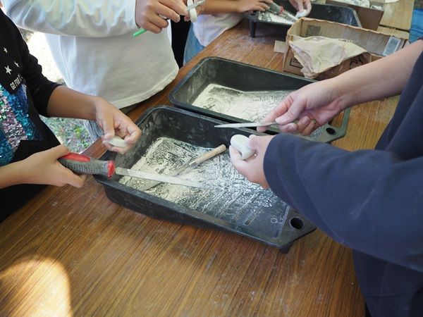 グルメバトルやキッチンカーが集結！埼玉・蓮田市役所で「第18回うたやの森フェスティバル」開催