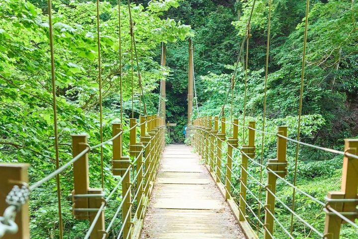 高尾山 吊り橋