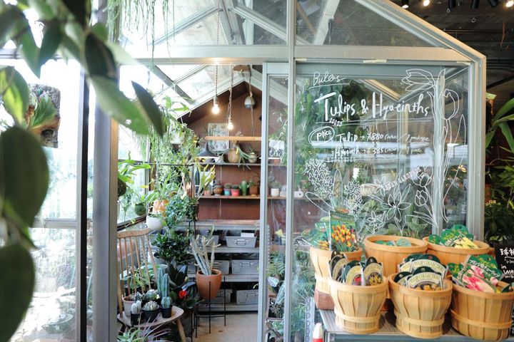 BIOTOP NURSERIES