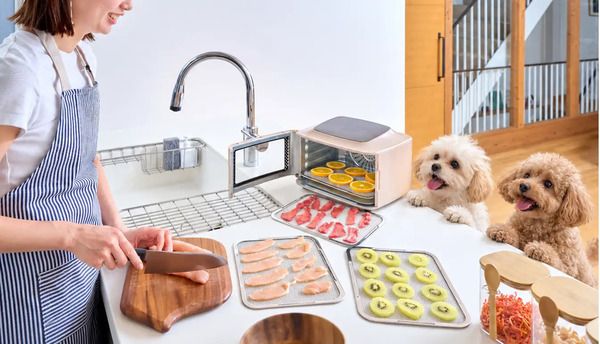 愛犬の好みに合わせて作れる自家製おやつメーカー「nocco」登場。何が入っているか分かるから安心！