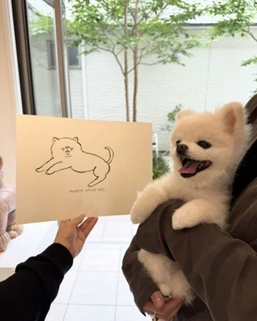 仙台・イグーネ荒井で「いぬフェア」開催！愛犬がモデルのドローイング受注会や限定スイーツ・犬用おやつも登場