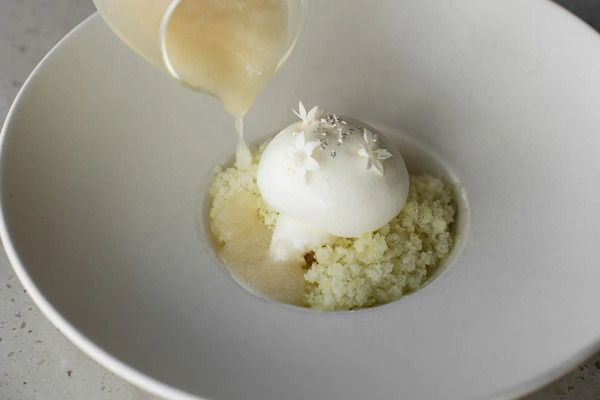渋谷「STEREO」がフードメニューを一新！コース料理や、気ままに頼める小皿料理を提供