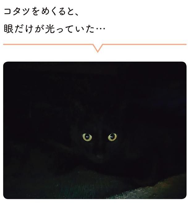眼だけが光っていた… （C）AKR／KADOKAWA