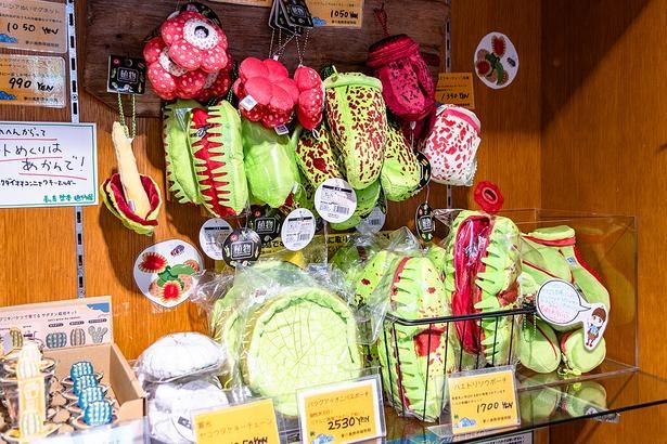 「ハエトリソウポーチ」(右下・1700円)や、「パラグアイオニバスポーチ」(中央下・2530円)のほかにも、「蓄光 ヤコウタケキーチェーン」や「ウツボカズラキーチェーン」(各種1350円)、「ハエトリソウキーチェーン」(990円)、「ラフレシアキーチェーン」(1050円)など、キモかわいいグッズがそろう