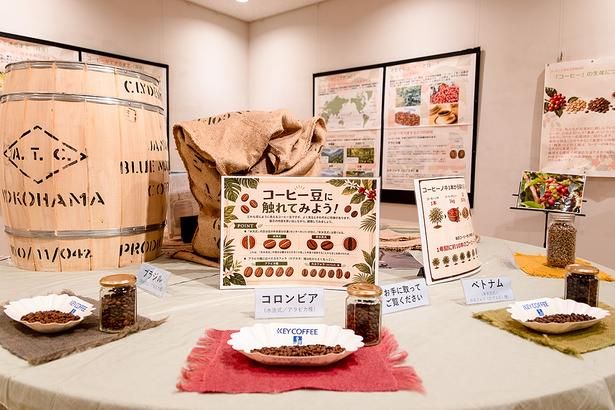 コーヒー豆の産地ごとの違いを、触れたり匂いを嗅いだりしながら知ることができる