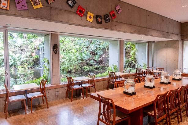 平日の「BONIN BLUE Cafe」は、休憩所として利用されている