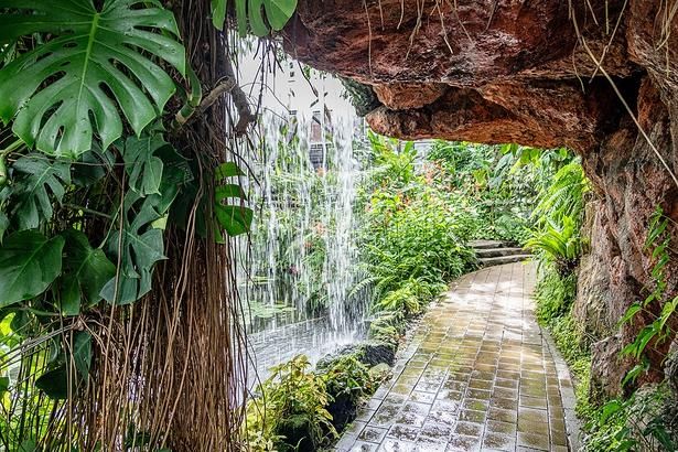滝の裏側がルートになっているのも魅力。植物館でありながら、ワクワクドキドキも楽しめる