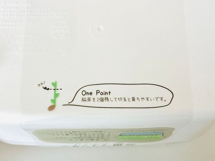【セリア】調理用のザルじゃなかった！豆苗をもう一度楽しめる、110円の節約アイテム♪