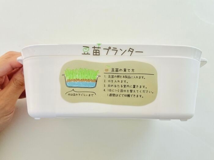 【セリア】調理用のザルじゃなかった！豆苗をもう一度楽しめる、110円の節約アイテム♪