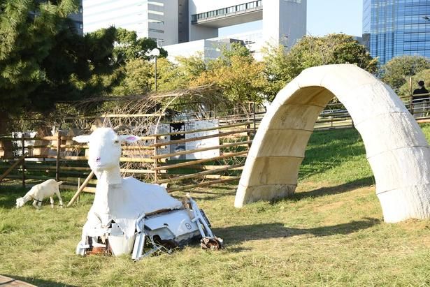 ヤギの⽬ 《ヤギの⽬プロジェクト》 2026 撮影：ソムタム田井