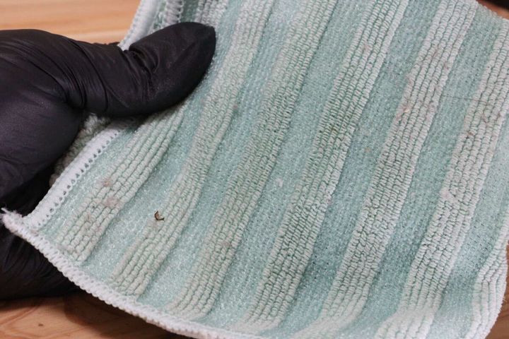 拭き掃除を終えた緑色のクロスに細かいホコリや汚れがついている状態