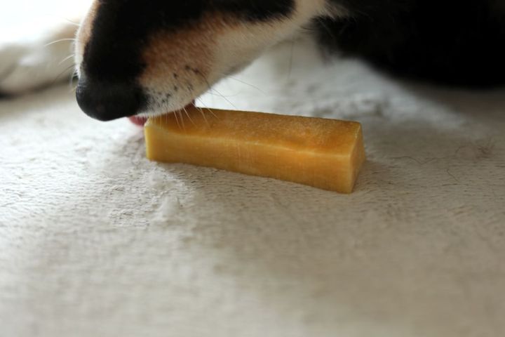 ヒマラヤチーズ