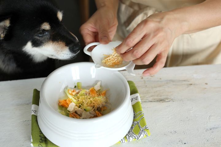 愛犬とチーズ