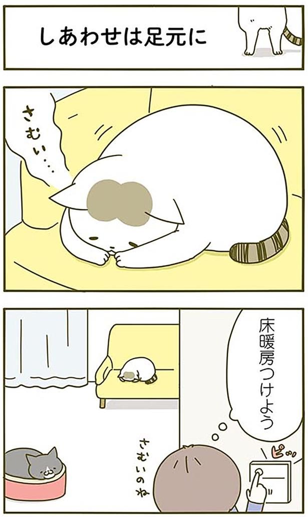 しあわせは足元に （C）卵山玉子／KADOKAWA