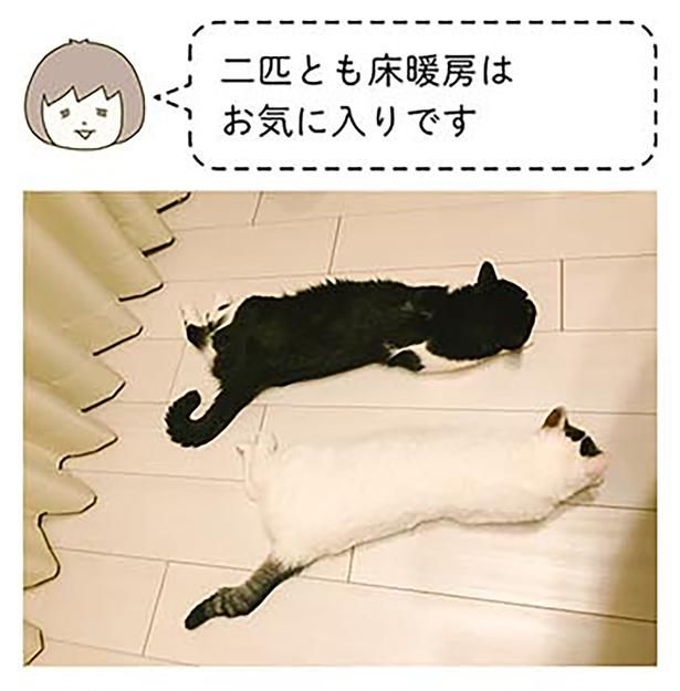 床暖房はお気に入り （C）卵山玉子／KADOKAWA