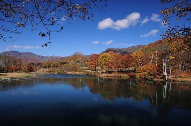 晴れた日には池の水面に紅葉が映える/笹ヶ峰高原の紅葉 画像提供：(一社)妙高ツーリズムマネジメント