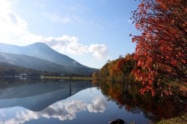 湖畔からはフォトジェニックな風景を眺められる/白樺高原(蓼科山)の紅葉 画像提供：立科町役場産業振興課