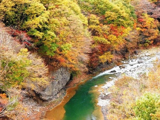 紅葉とエメラルドグリーンの川面/白砂渓谷ラインの紅葉 画像提供：中之条町六合支所