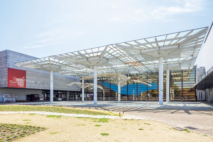 大阪市立自然史博物館の外観