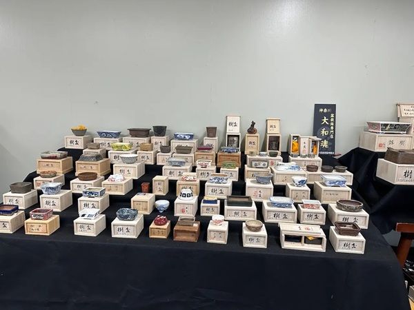 盆栽を始めてみたい人から愛好家まで楽しめる。東京・上野グリーンクラブで「小品盆栽フェア 第34回秋雅展」開催
