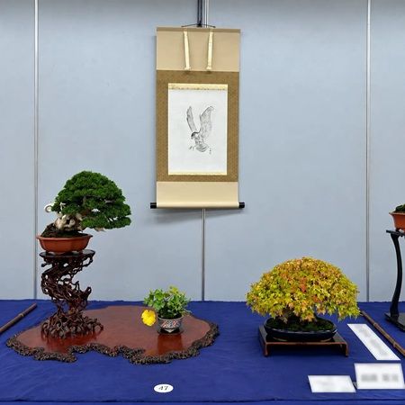 盆栽を始めてみたい人から愛好家まで楽しめる。東京・上野グリーンクラブで「小品盆栽フェア 第34回秋雅展」開催