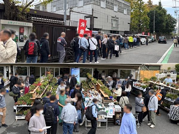 盆栽を始めてみたい人から愛好家まで楽しめる。東京・上野グリーンクラブで「小品盆栽フェア 第34回秋雅展」開催