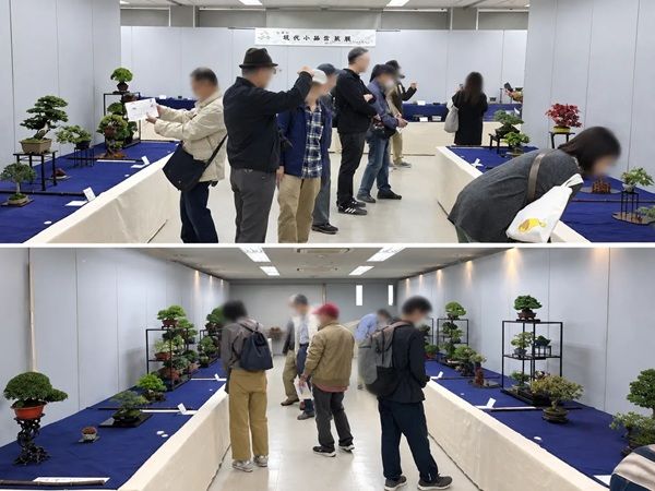 盆栽を始めてみたい人から愛好家まで楽しめる。東京・上野グリーンクラブで「小品盆栽フェア 第34回秋雅展」開催