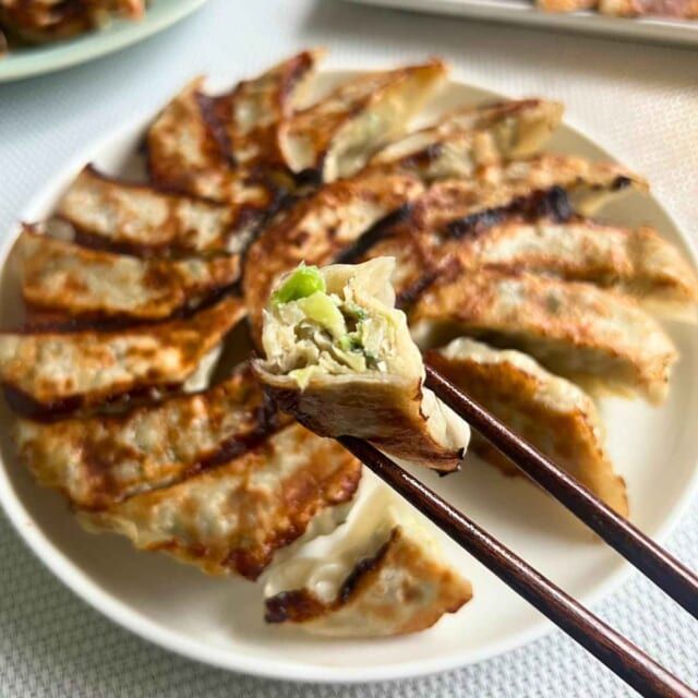 ソルティチキン餃子