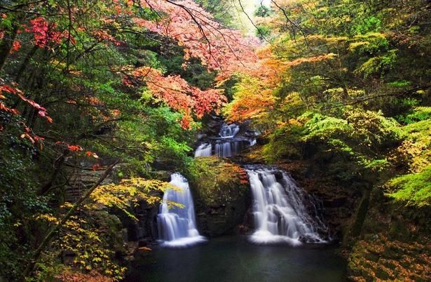 滝に紅葉が加わり、いっそう豊かな景観が楽しめる／赤目四十八滝の紅葉 画像提供：赤目四十八滝渓谷保勝会