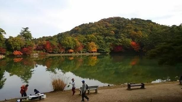 修法ヶ原池の水面に映る風景も見事／再度公園の紅葉 画像提供：神戸市建設局公園部