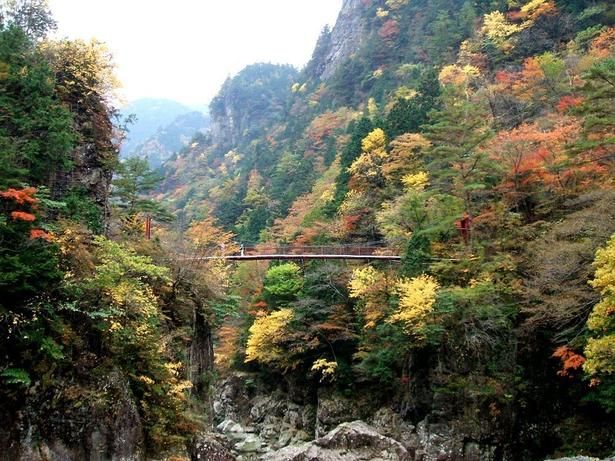 清流の流れを感じながら紅葉鑑賞ができる／みたらい渓谷の紅葉 画像提供：天川村役場