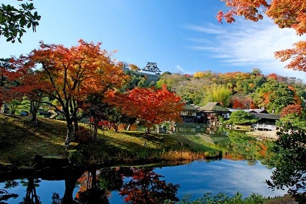 池に真っ赤な紅葉が映し出される／国宝彦根城・名勝玄宮楽々園の紅葉 画像提供：(公社)彦根観光協会