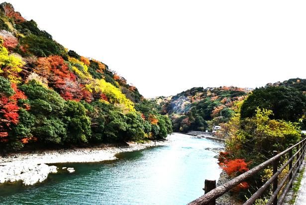山々の紅葉と宇治川に映る空のコントラスト／宇治川ラインの紅葉 画像提供：宇治川市観光協会